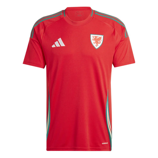 Wales Home Soccer Jersey Euro 2024/25