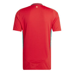 Wales Home Soccer Jersey Euro 2024/25